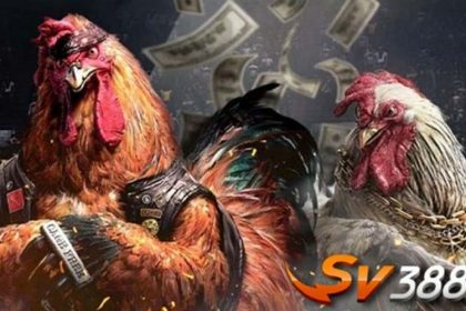 Detailed review Is SV388 really reputable and safe?