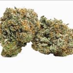A Beginner’s Guide to Buying Weed Online in Canada