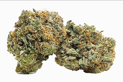 A Beginner’s Guide to Buying Weed Online in Canada