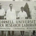 Photograph illustrating: Order Boosting Women's Health Research Signals a Funding Shift