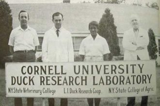 Photograph illustrating: Order Boosting Women's Health Research Signals a Funding Shift