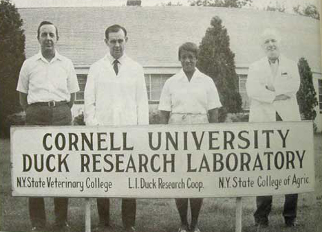 Photograph illustrating: Order Boosting Women's Health Research Signals a Funding Shift